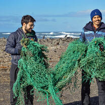 Cleanup action