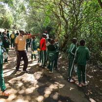 Outdoor learning sessions