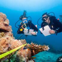 a diver taking notes