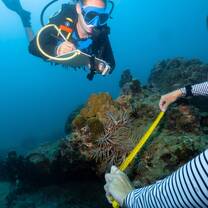 a diver measuring