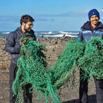 Cleanup action