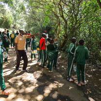 Outdoor learning sessions
