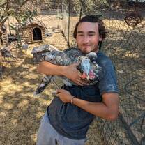 boy holding a turkey
