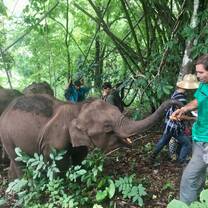 Trekking with elephants