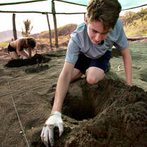 Rustic Pathways turtle conservation in Costa Rica