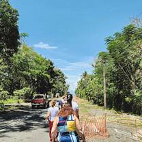 Volunteer in Fiji with IVHQ