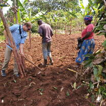 Volunteer Planting Tress in a local village