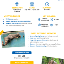 Program flyer