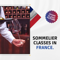 Gastronomic Studies in France