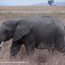 Up close and personal with this beautiful animal