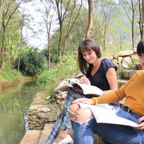 Students studying outdoors