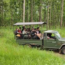 Safari! 
