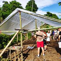 Plastic greenhouse 