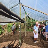 greenhouse 