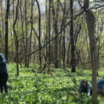 Foraging ramps