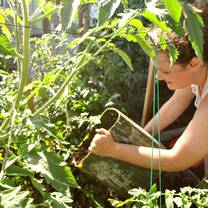 Volunteer in the Galapagos with IVHQ