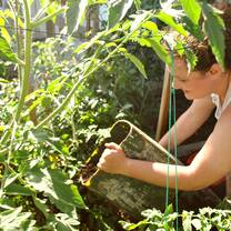 Volunteer in the Galapagos with IVHQ