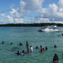 Volunteer in Trinidad and Tobago with IVHQ