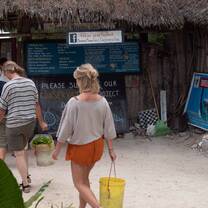 work at the turtle site