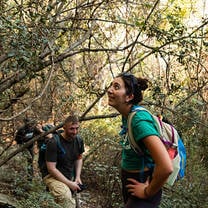 Trekking