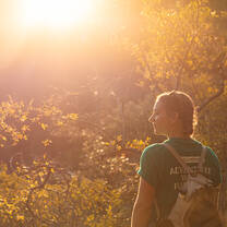Trekking through forest