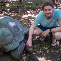 with turtle