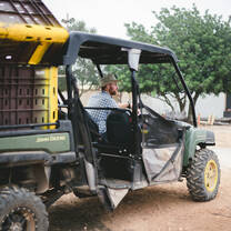 Harvesting grapes on the Mt. of Blessing in Israel