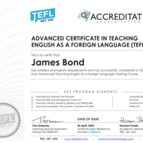 TEFL. Set. Go! 120 Hour TEFL Certificate