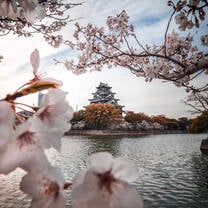 Japan castle