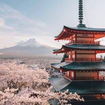 Japan castle