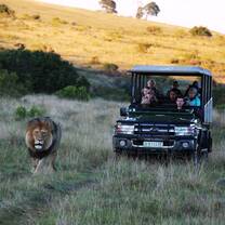 Game ranger skills in South Africa 