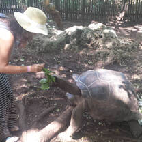 Tanzania Trip Photo