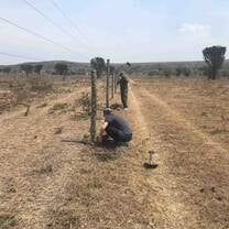 maintaining fence
