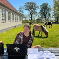 Girl studying with horses in the background