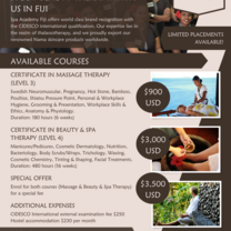 Program Flyer
