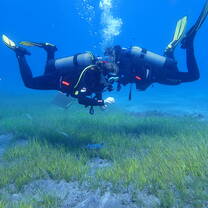 Interns taking data of the sea grass