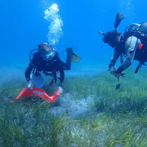 Interns taking data of the sea grass