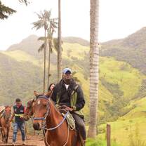 Gabriel on horseback in coffee country