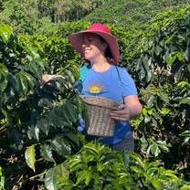 Helping in the fields in Chinchina