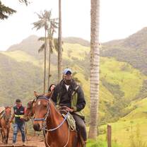 Gabriel on horseback in coffee country