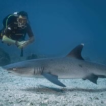 Marine Conservation Program Costa Rica