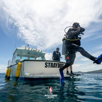 Divemaster Program Costa Rica