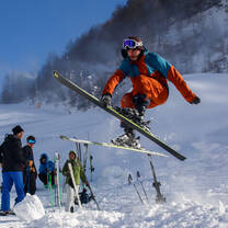 Ski trick