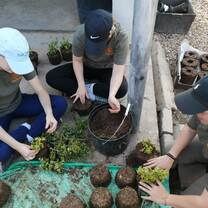 Habitat Conservation - Spekboom Project