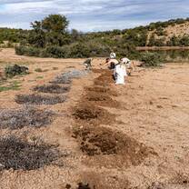 Habitat Conservation - Erosion Control Project