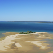 Bachelor of Animal Ecology field trip to Hervey Bay, UniSC Sunshine Coast