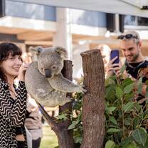 UniSC Sunshine Coast Welcome to Australia event Sippy Downs Queensland