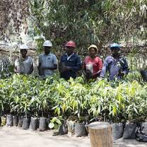 The team at the tree nursery bed