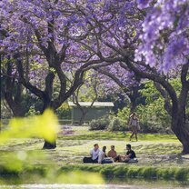 UQ Lakes