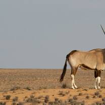 Volunteer in Namibia
